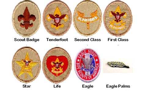 Scouts BSA Rank Requirements .